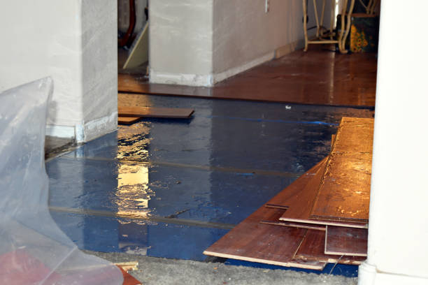 Professional Water Damage Restoration technician working in Millport, AL